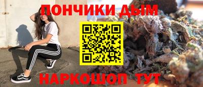 mdpv Заводоуковск