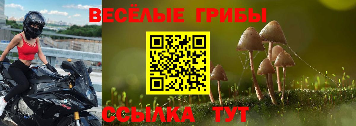 Галлюциногенные грибы Psilocybe  Вход с VPN  Магадан 
